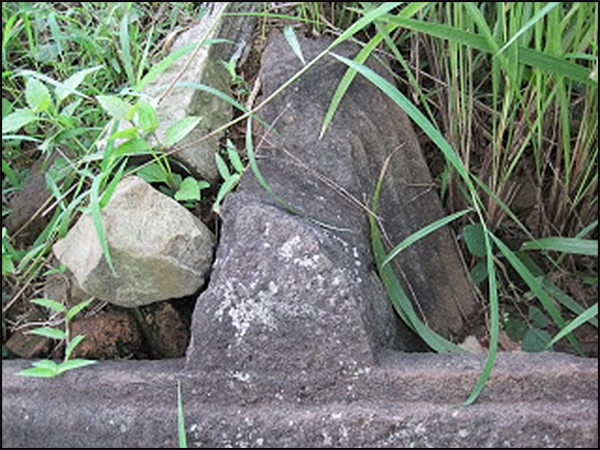 situs wurung tarabuwana03