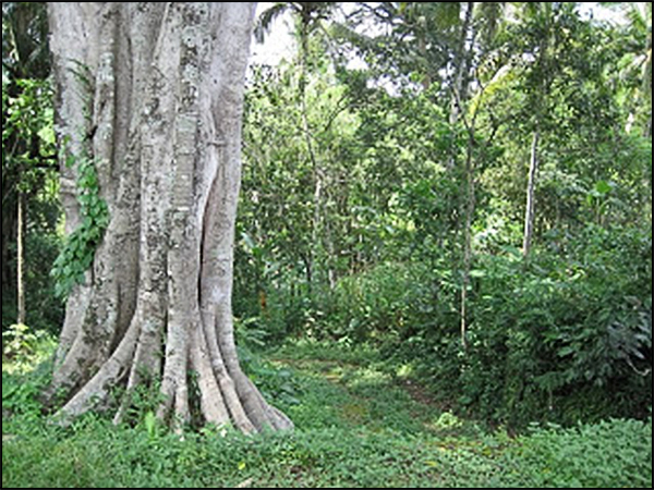 situs sumur songo tarabuwana02