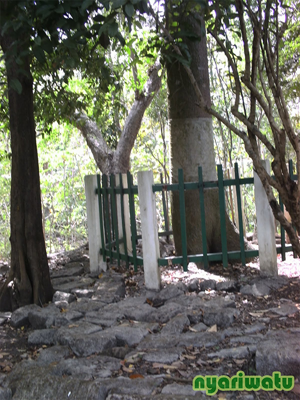 situs-dengok nyariwatu02