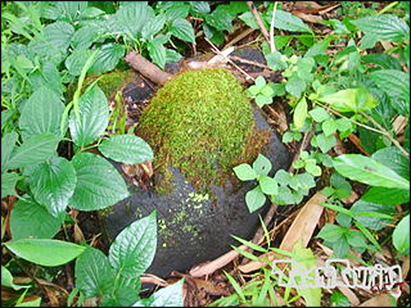 situs kaliworo teamtouring 02