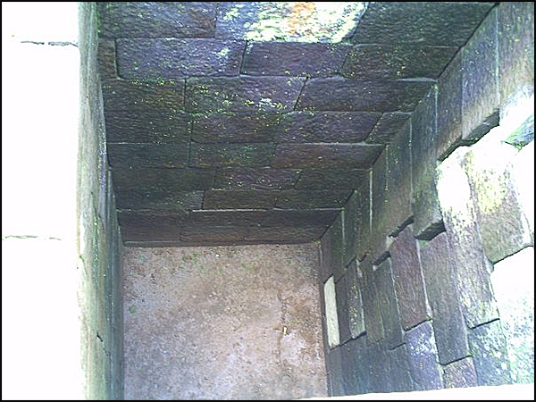 candi asu tarabuwana05