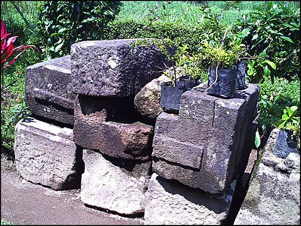 candi asu tarabuwana06