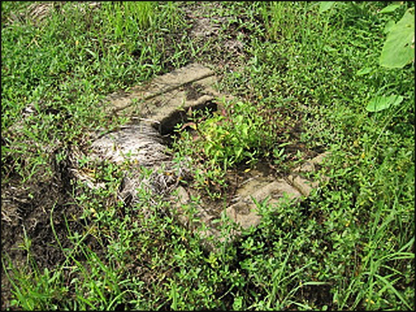 situs cetokan tarabuwana06