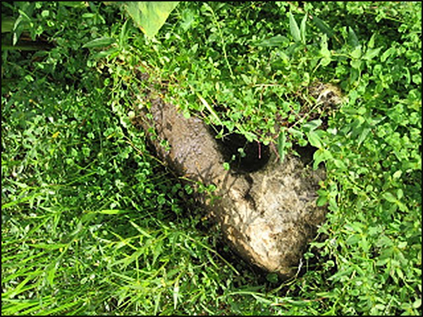 situs cetokan tarabuwana07