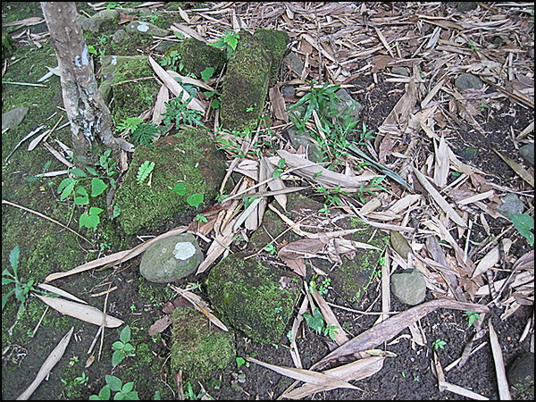 situs gombong tarabuwana02