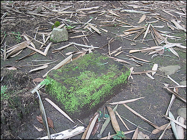 situs gombong tarabuwana03