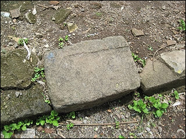 situs jeronboto tarabuwana05