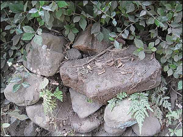 situs jowahan tarabuwana03