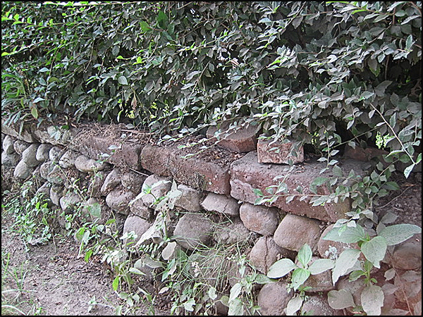 situs jowahan tarabuwana04