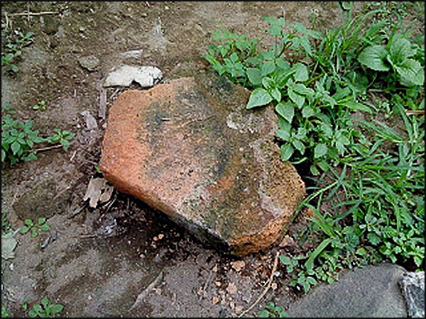 situs kalimalang tarabuwana05