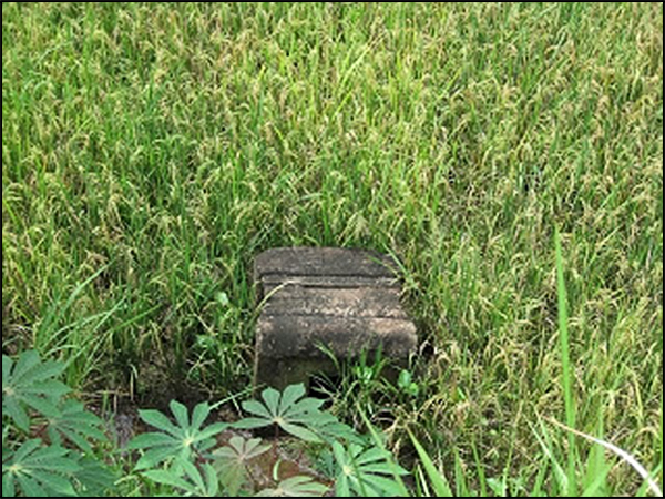 situs pringapus tarabuwana02