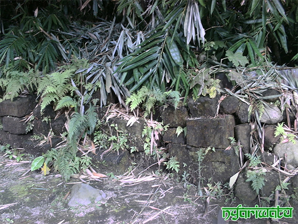 situs-cepet nyariwatu03