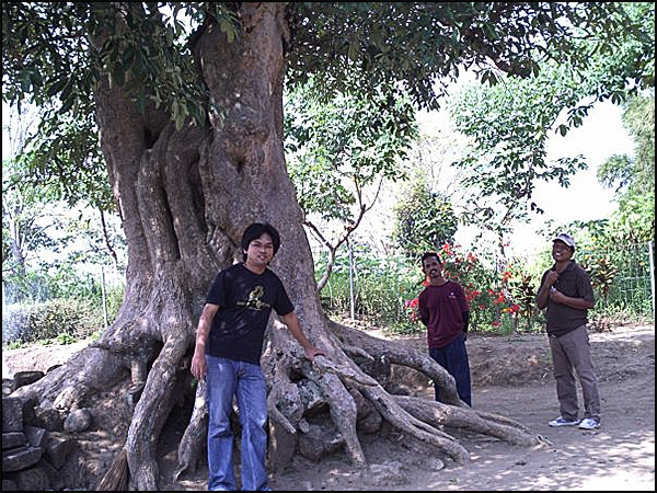 situs gunungsari tarabuwana03