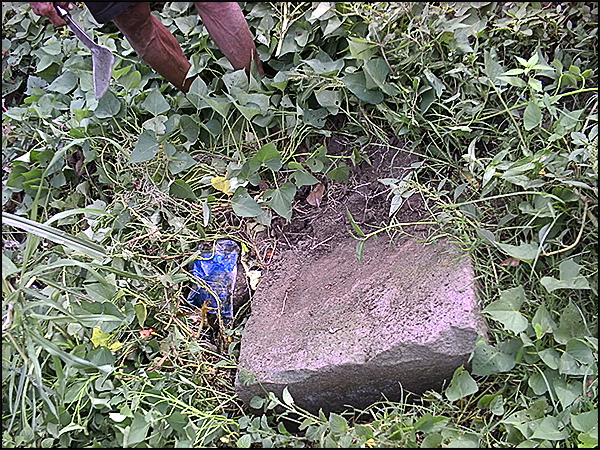 situs ngaglik bokoharjo nyariwatu01