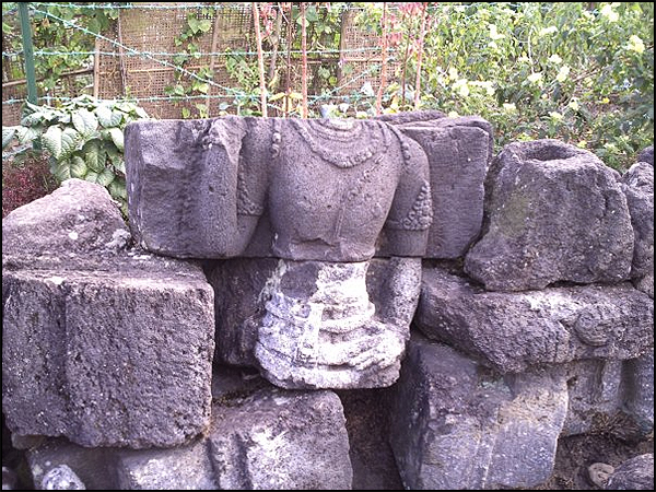 situs perot tarabuwana04