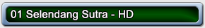 01 Selendang Sutra HD 01
