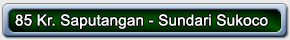 85 Kr. Saputangan Sundari Sukoco 01