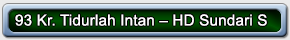 93 Kr. Tidurlah Intan – HD Sundari S 01