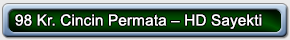 98 Kr. Cincin Permata – HD Sayekti 01