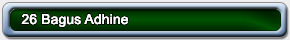 26-Bagus-Adhine