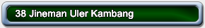 38-Jineman-Uler-Kambang