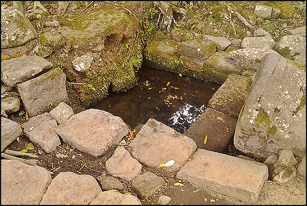 situs cabeankunti yacobivan05