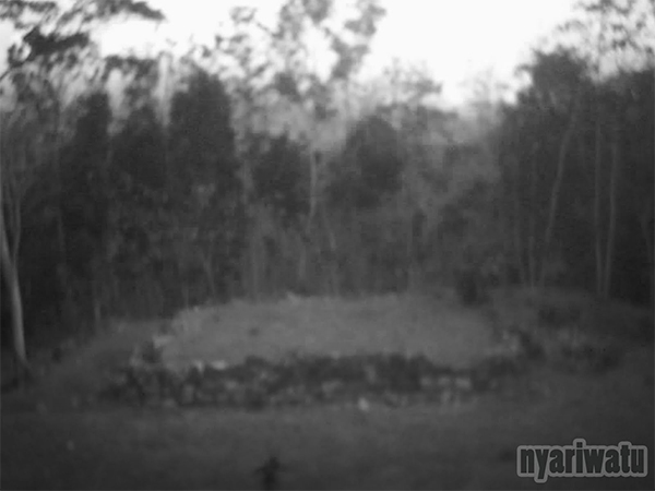 candi-risan nyariwatu05