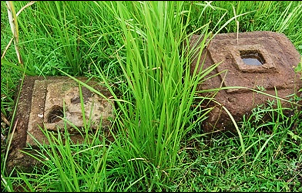 situs wujil bergas02