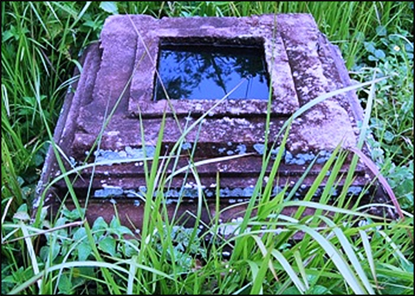 situs wujil bergas04