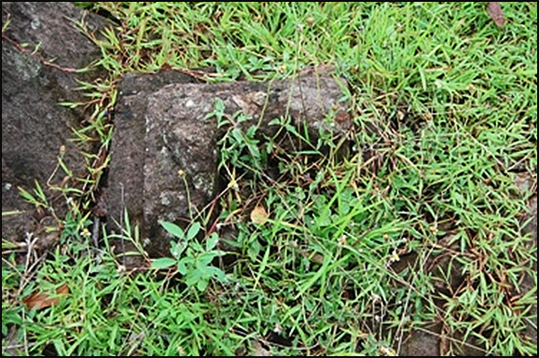 situs wujil bergas07