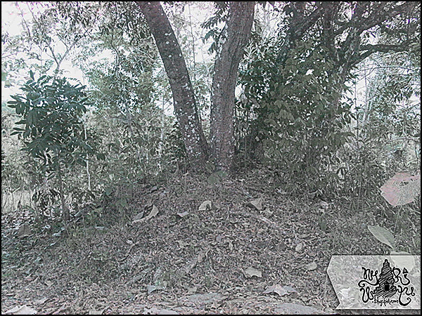 candi sambiroto nyariwatu01