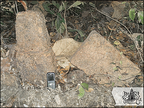 candi sambiroto nyariwatu02