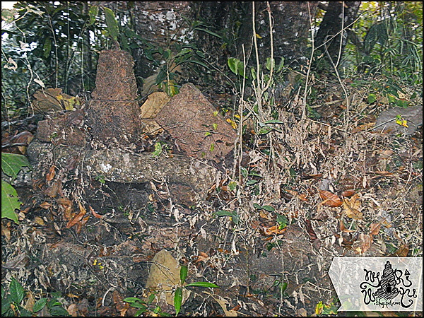 candi sambiroto nyariwatu03