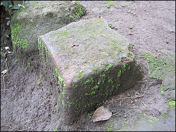 situs gombong tarabuwana01