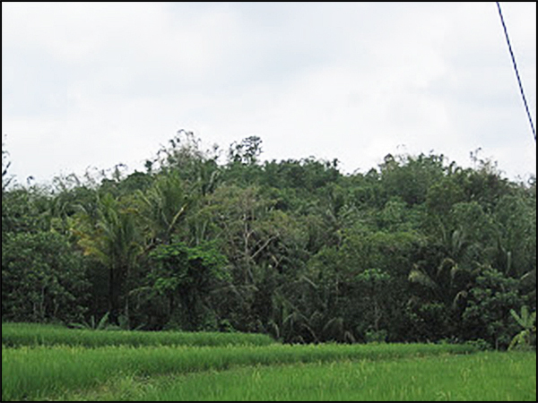 situs gununggono tarabuwana01