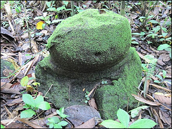 situs gununggono tarabuwana04