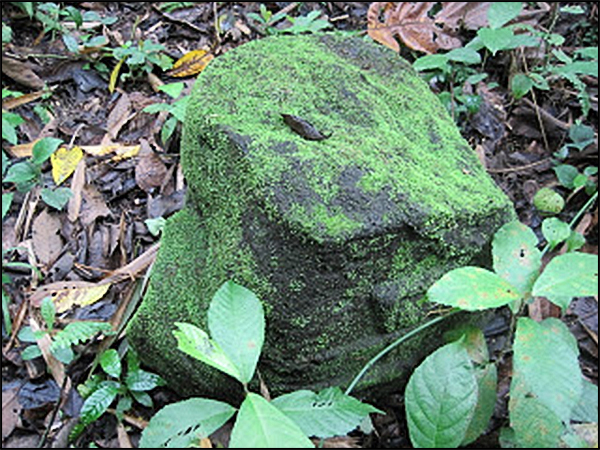 situs gununggono tarabuwana05