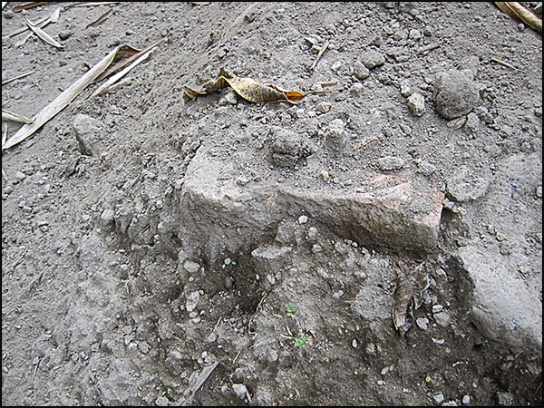 situs jomboran tarabuwana03