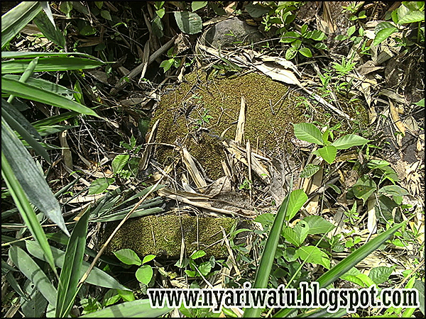 situs mantingan nyariwatu04