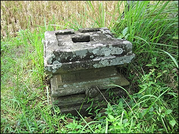 situs mulosari tarabuwana01