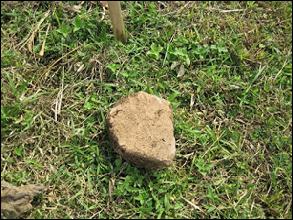 situs plandi tarabuwana02