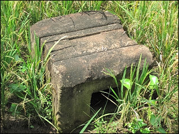 situs pringapus tarabuwana01