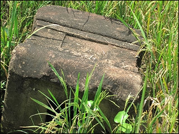 situs pringapus tarabuwana03