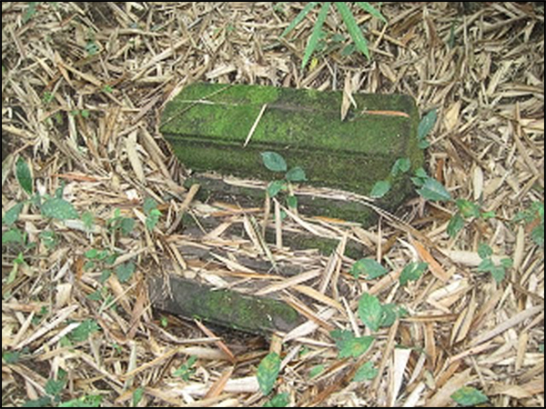 situs pucanggunung tarabuwana02