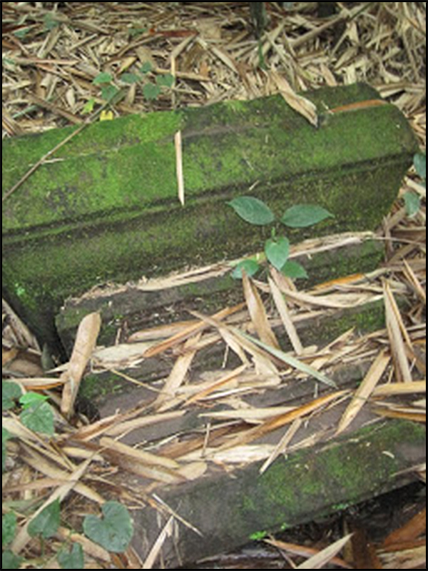 situs pucanggunung tarabuwana03