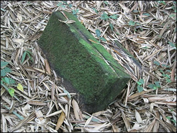 situs pucanggunung tarabuwana04