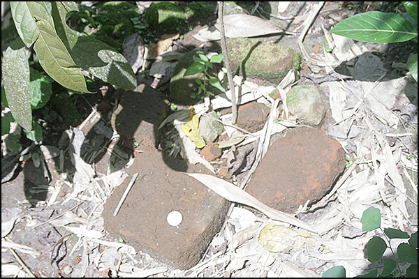 situs samberan nyariwatu04