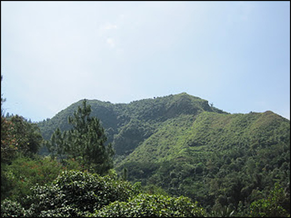 situs selogriyo tarabuwana01