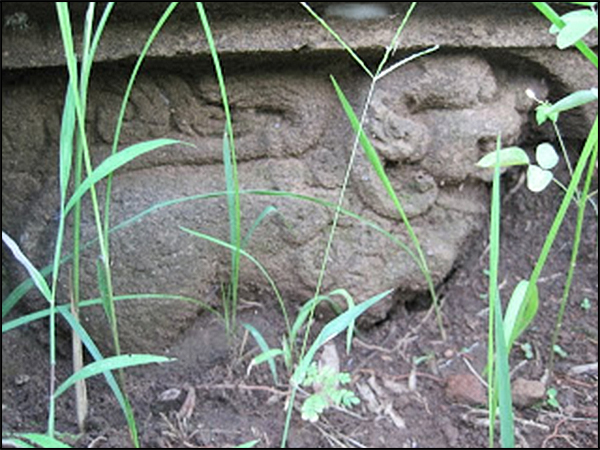 situs wurung tarabuwana05