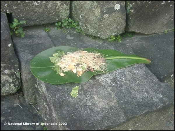 candi kalasan pnri06